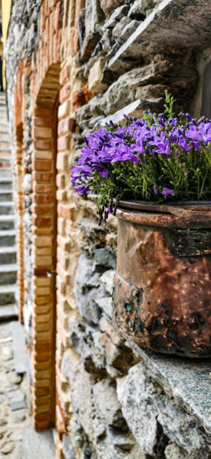 Agriturismo Il Medeghino Musso Exterior foto